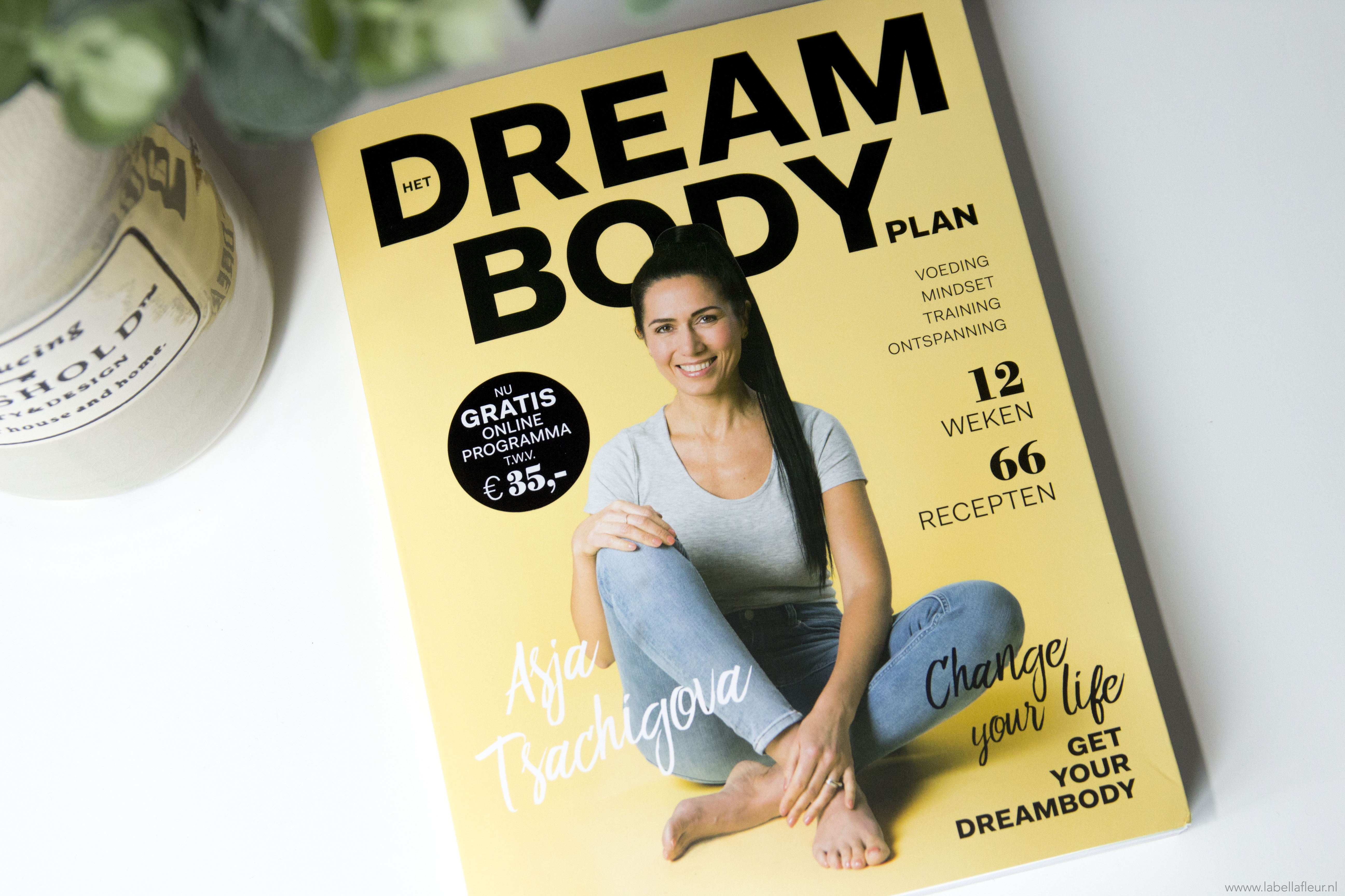 Het Dreambody plan, Asja Tsachigova, boeken