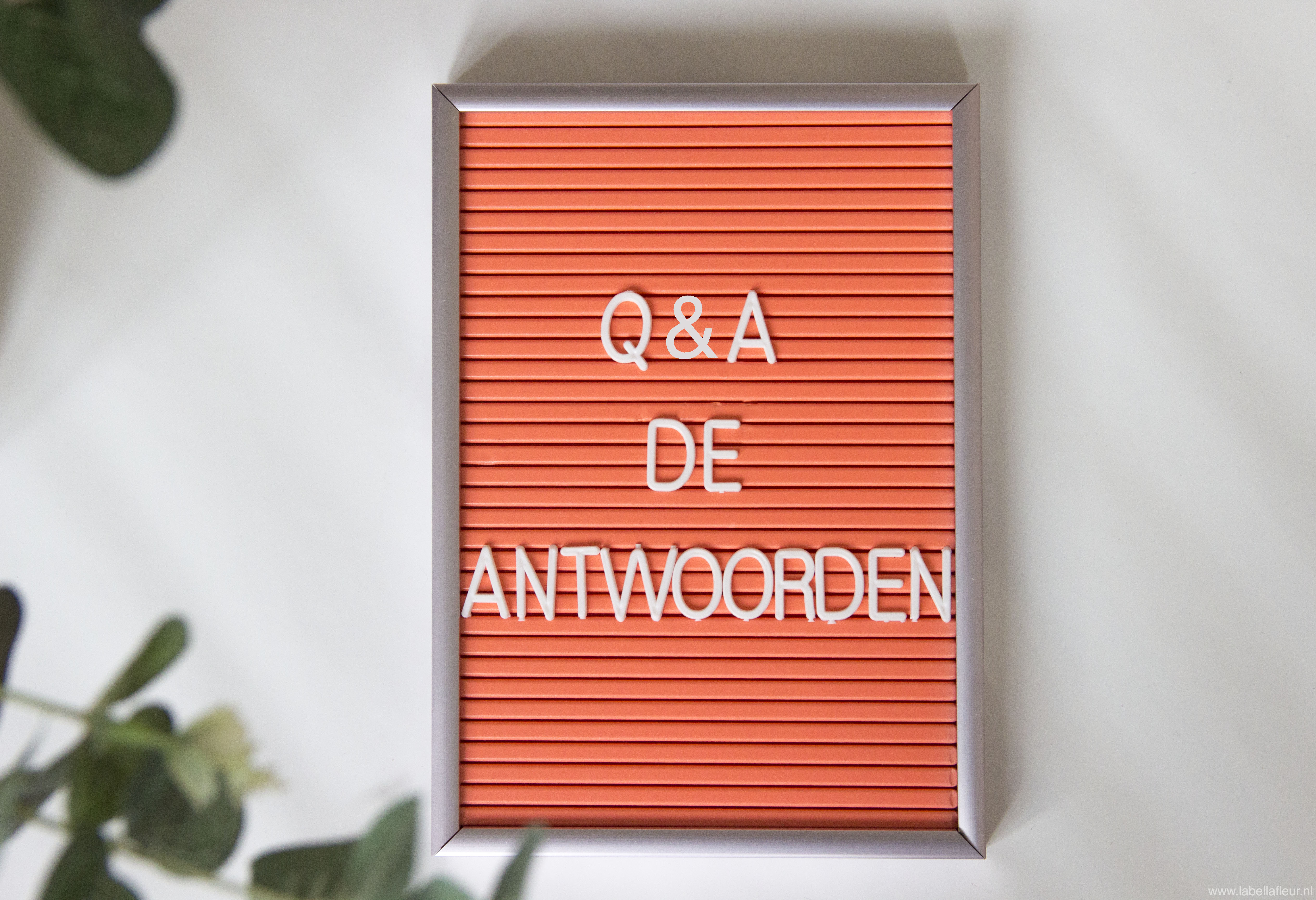 Personal, Q&A