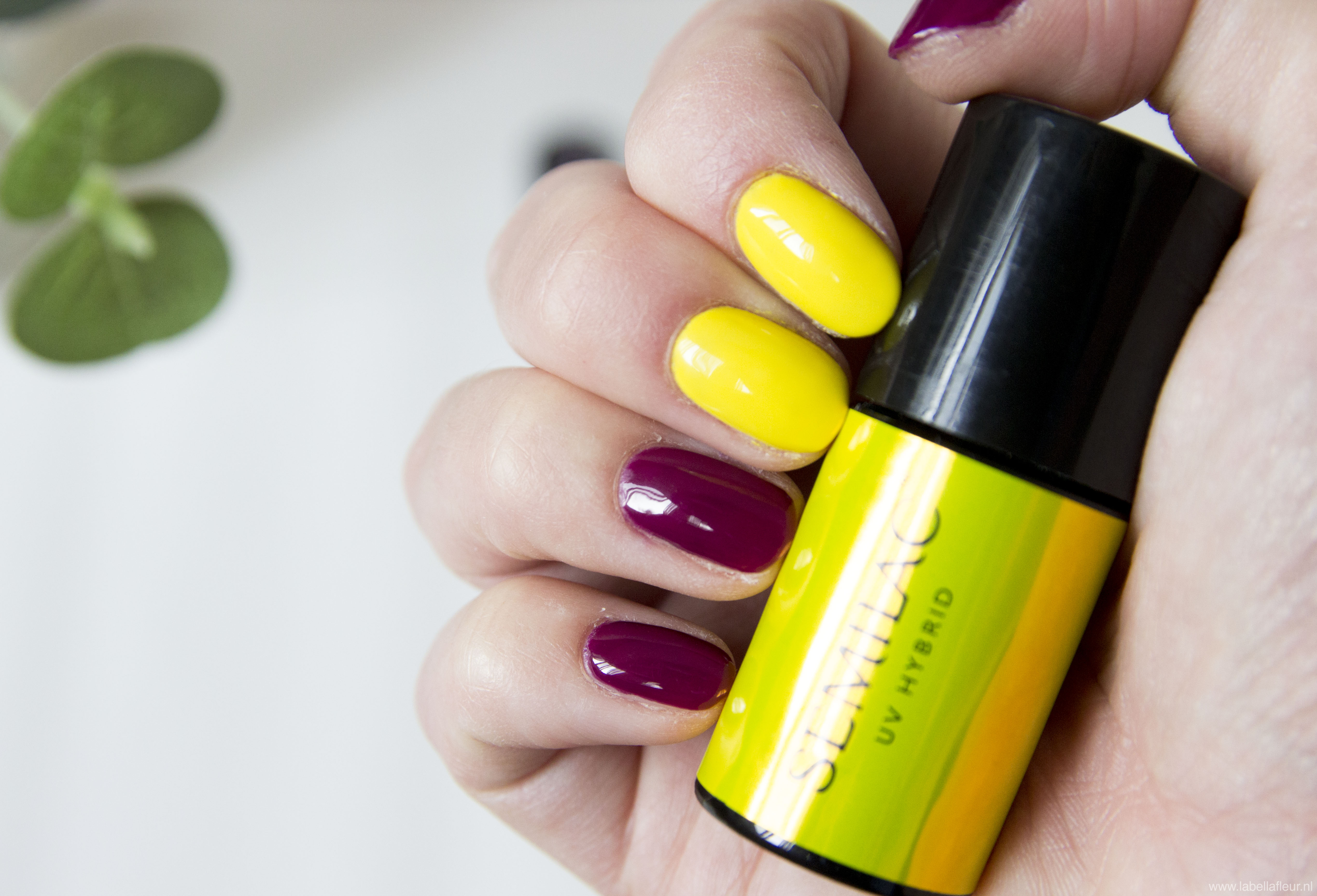 Nails, gelpolish, semilac 