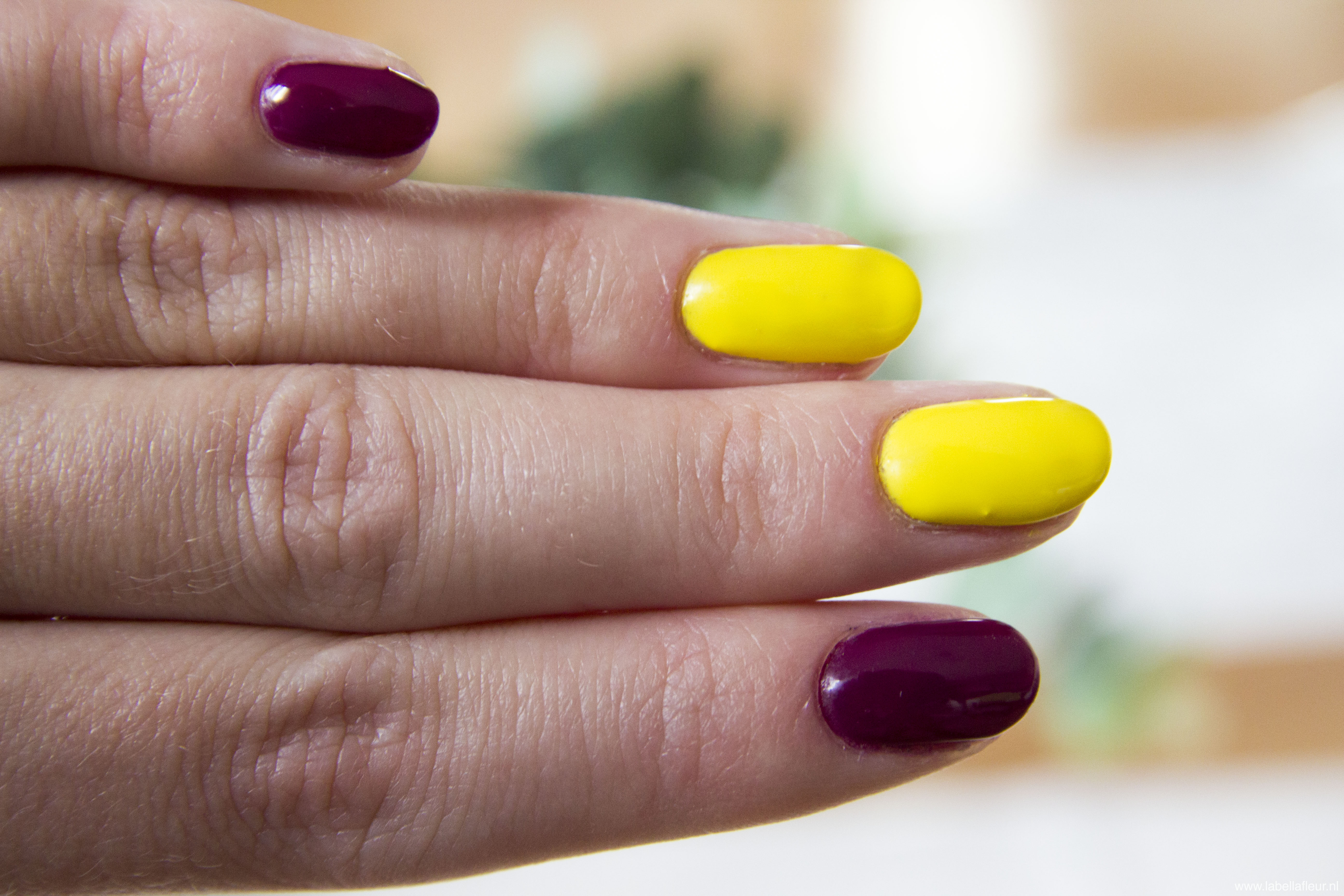 Nails, gelpolish, semilac 