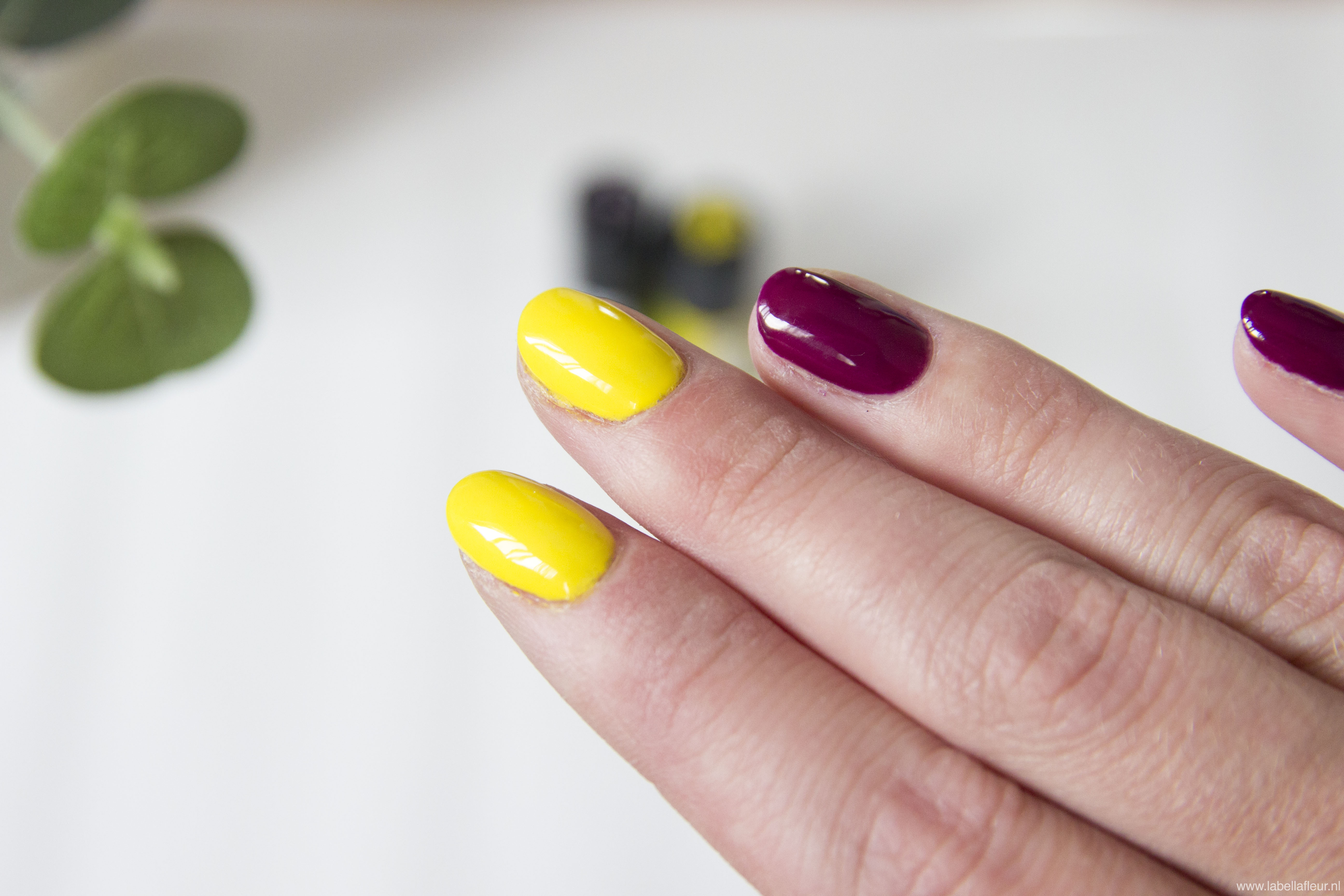 Nails, gelpolish, semilac 