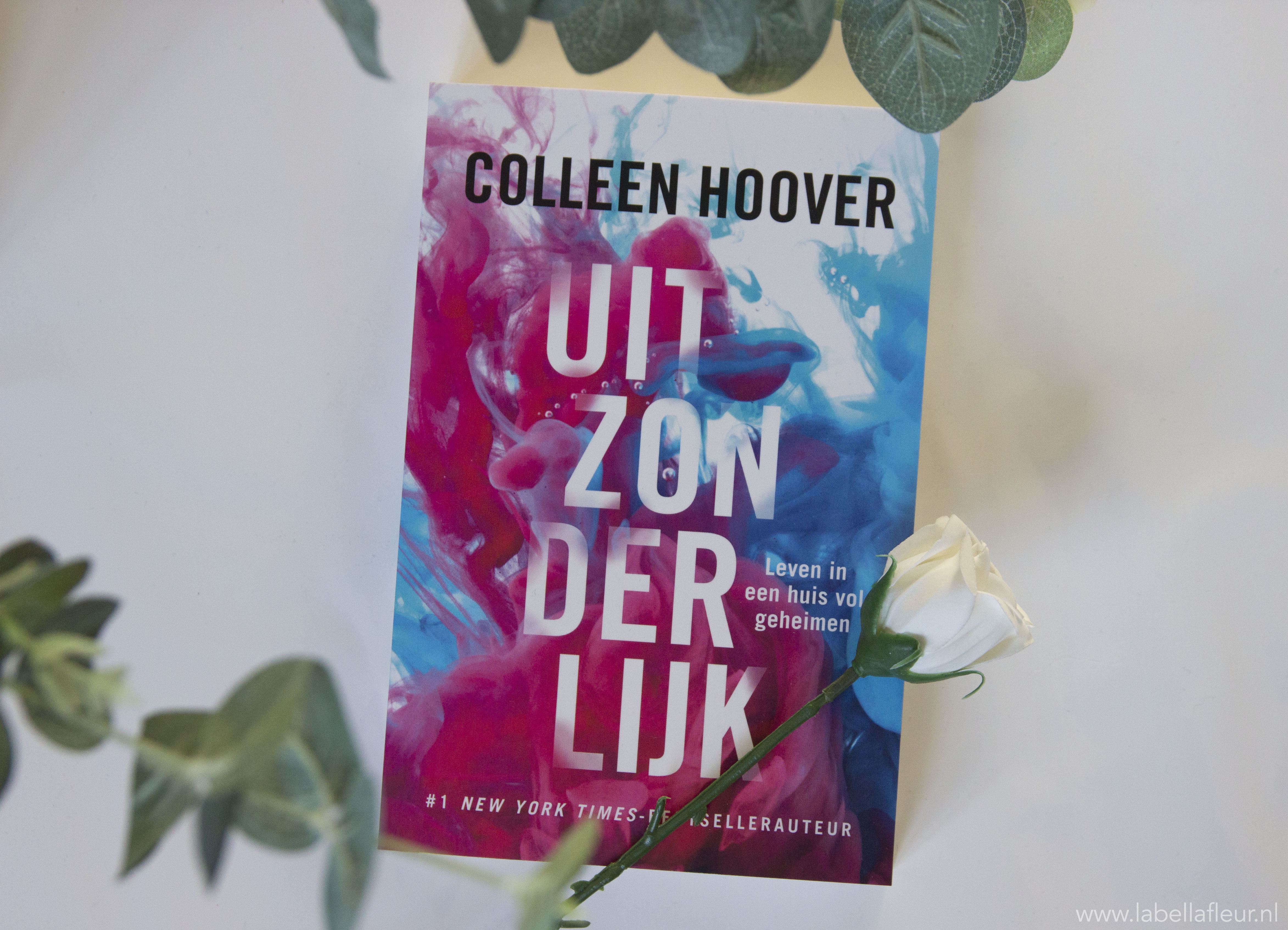 Recensie, colleen Hoover, Uitzonderlijk