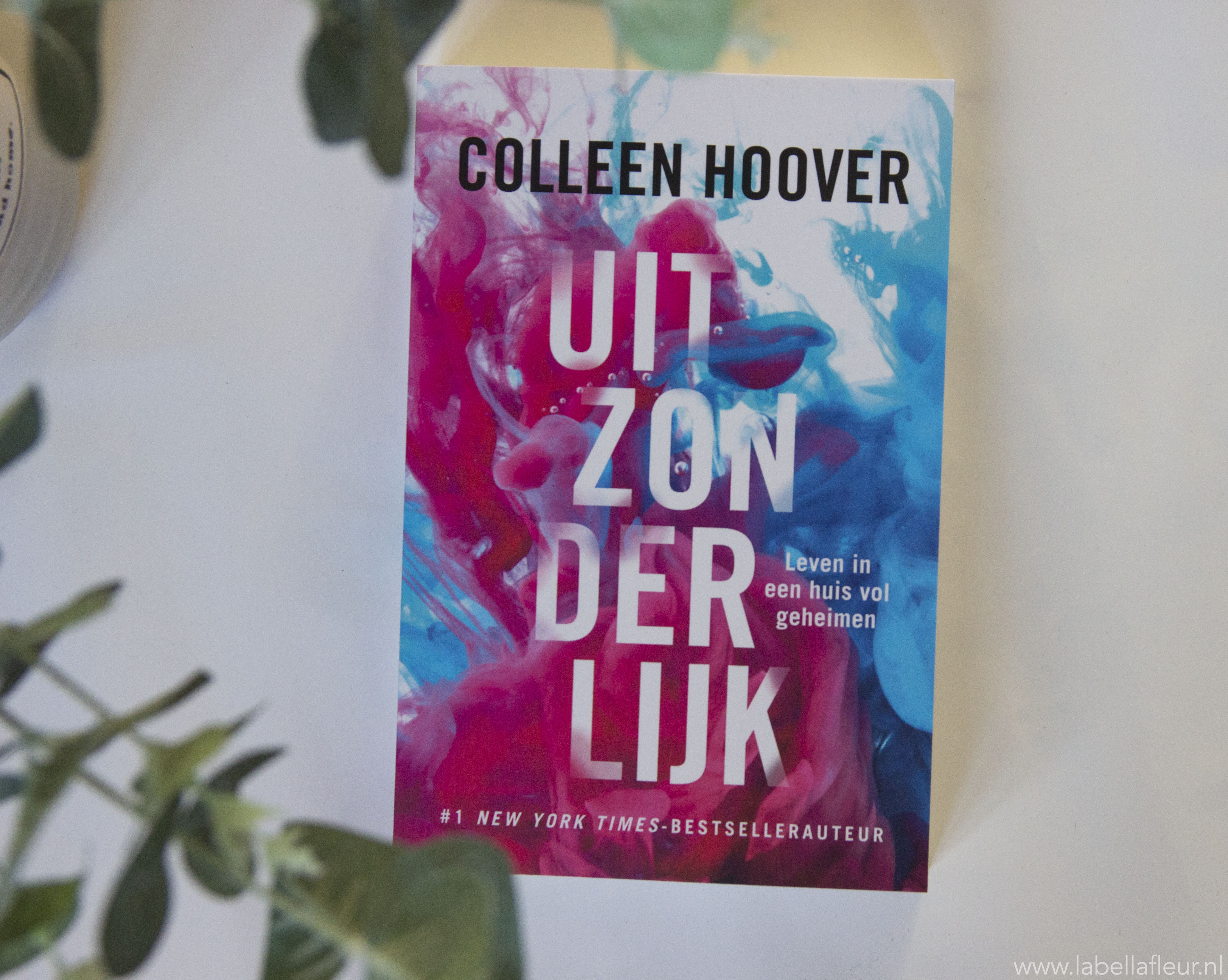 Recensie, colleen Hoover, Uitzonderlijk