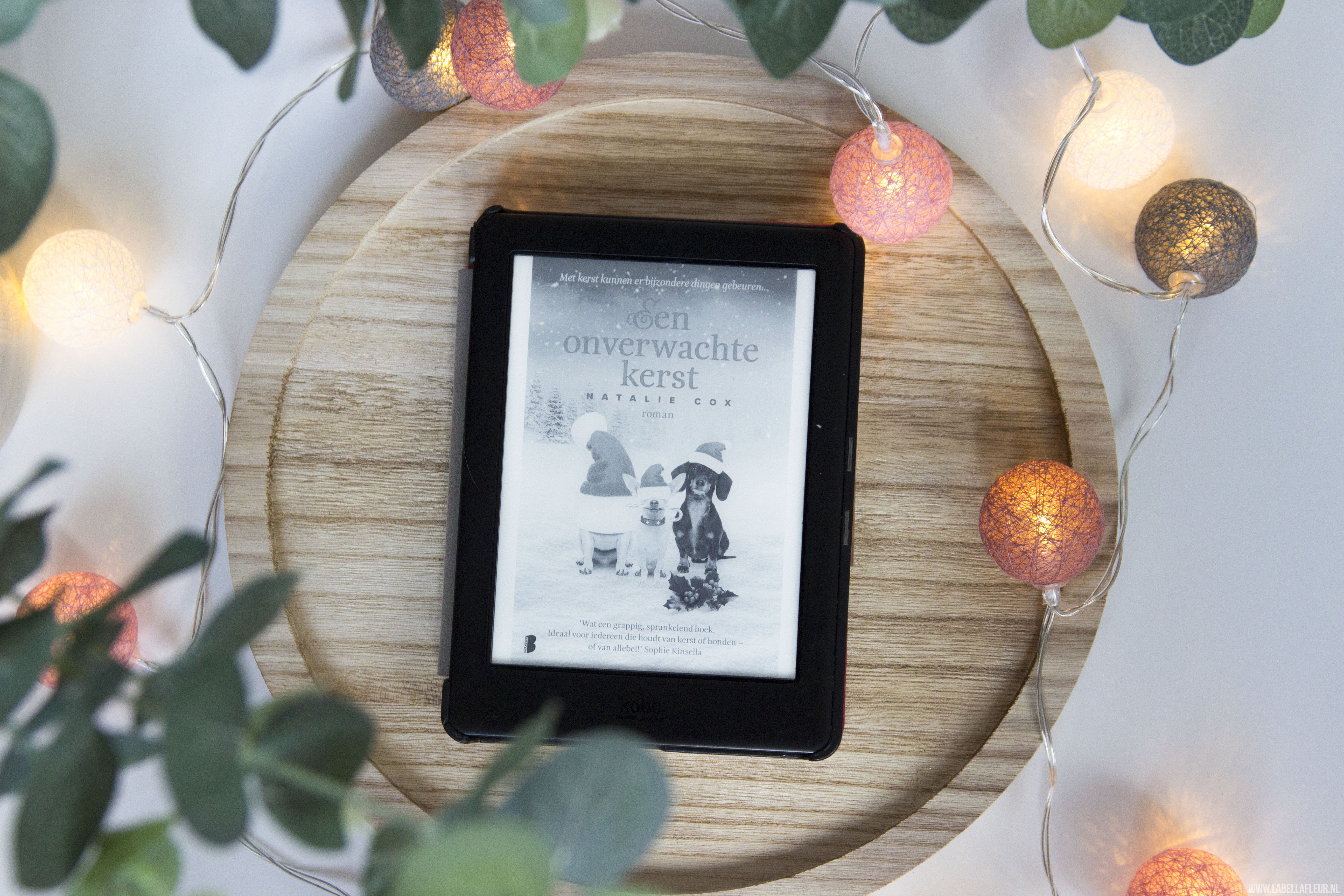 Boeken, kerst boeken, Een onverwachte kerst,