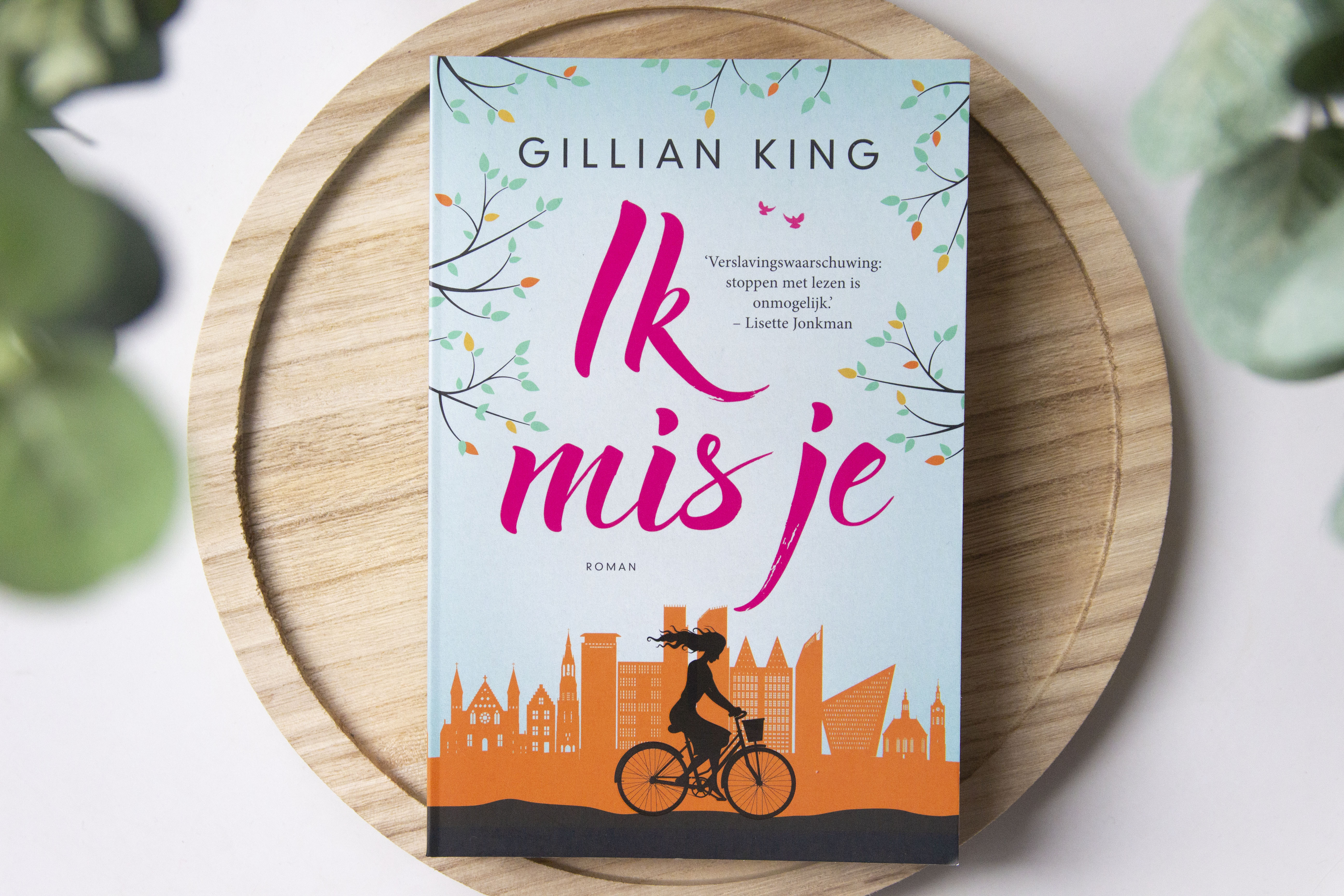 recensie, ik mis je, gillian king