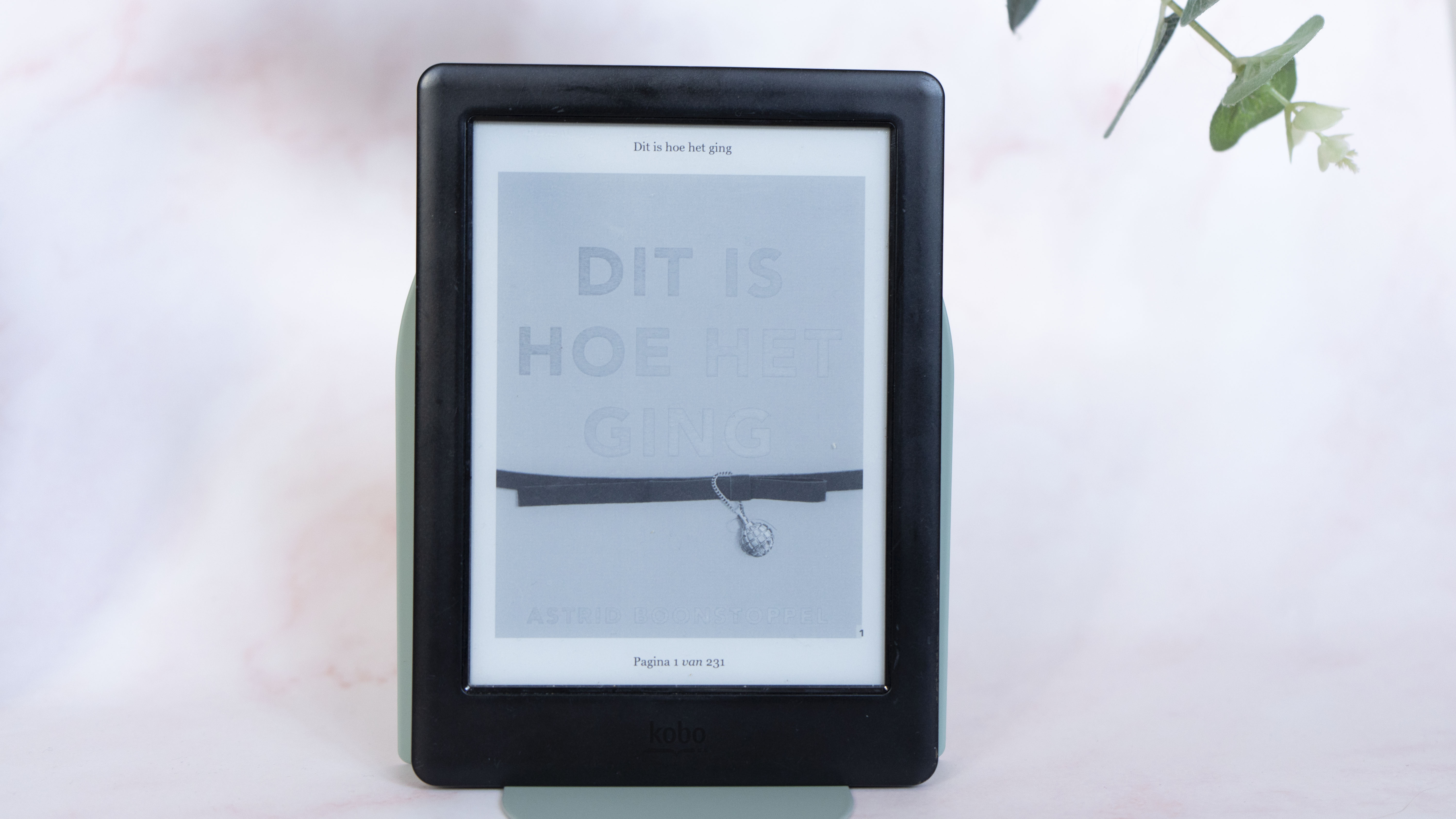 recensie, dit is hoe het ging, astrid boonstoppel