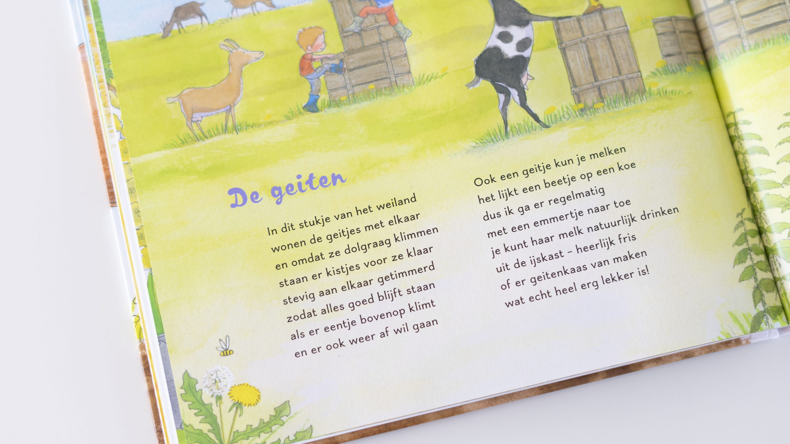 de scharrelboederij 