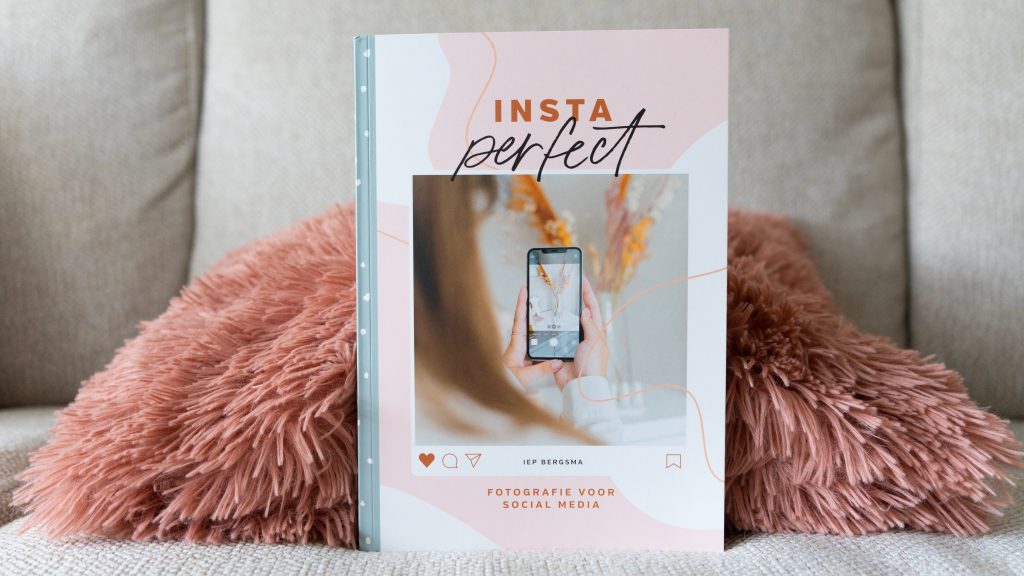 insta perfect iep bergsma